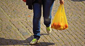 Interdiction des sacs plastique à usage unique en caisse à partir de juillet 2016