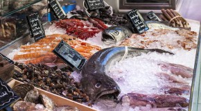 Étiquetage des produits de pêche : quelles obligations ?