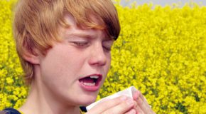 Pollens : le point sur les risques allergiques
