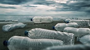 Microplastiques en mer- L’urgence sur terre !