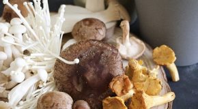 Champignons shiitake : bien les cuire pour éviter l’intoxication