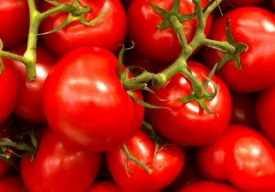Pesticides : De nombreux résidus dans les tomates espagnoles et marocaines