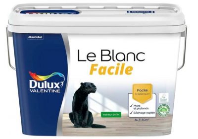 Allégation environnementale : Le biosourcé selon Dulux Valentine, de la poudre aux yeux ?